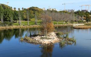 Naiades Project Alicante Meeting January 2020