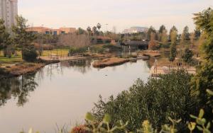 Naiades Project Alicante Meeting January 2020